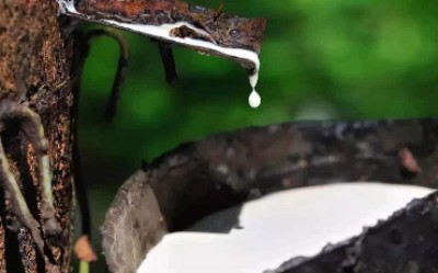 Rubber