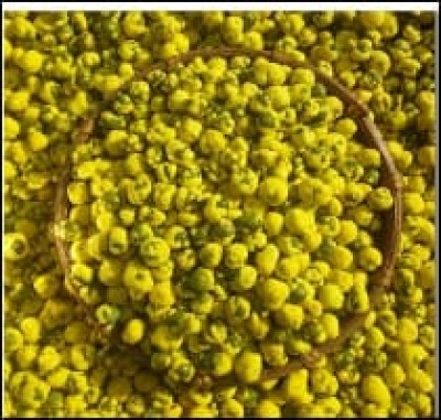 Durian Coated Peas