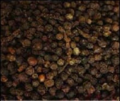 Black Pepper 550g/l FAQ