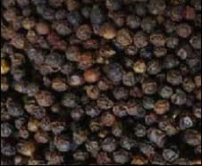Black pepper 5mm