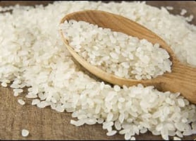 Camolino Rice
