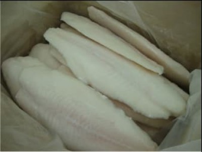 Frozen Basa Fillet