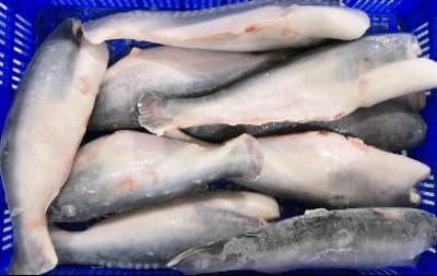 Frozen Basa Headed, Gutted, Jail-Off