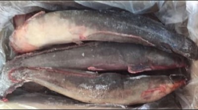 Frozen Whole Cleaned Basa