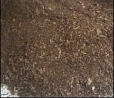 Pepper Dust
