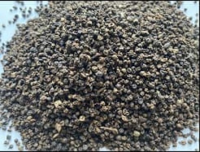 Pinhead Black Pepper 1.5mm