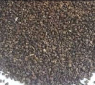 Pinhead Black Pepper 2mm