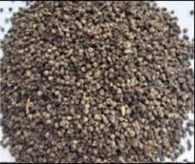 Pinhead Black Pepper 3mm