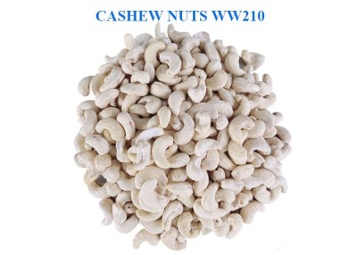White cashew WW210