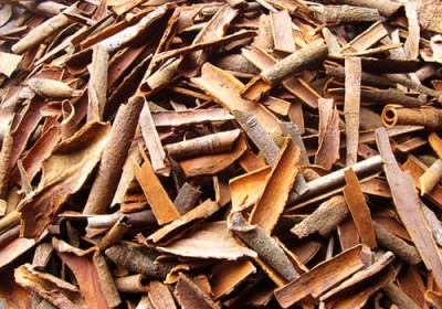 Cinnamon chips