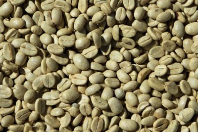 Standard Robusta Coffee