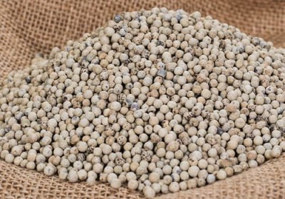 White pepper